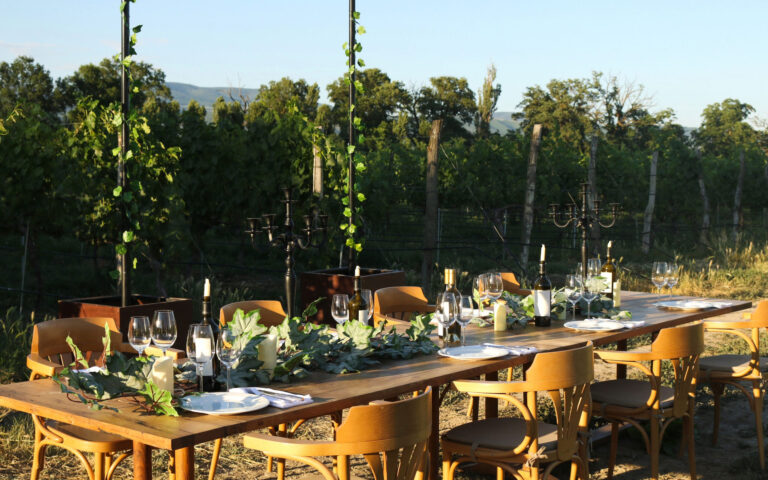 Cena in Vigna tra i Trulli della Valle d’Itria