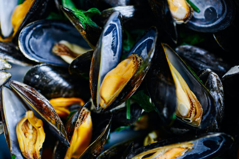 La Cozza Tarantina: l’eccellenza del Mar Piccolo che racconta la storia di Taranto